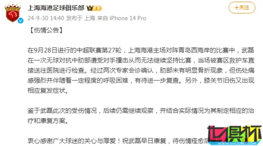 國足 最新集訓名單：武磊 帶傷入選，韋世豪 回歸，朱辰杰 缺席-第3張圖片-世俱杯